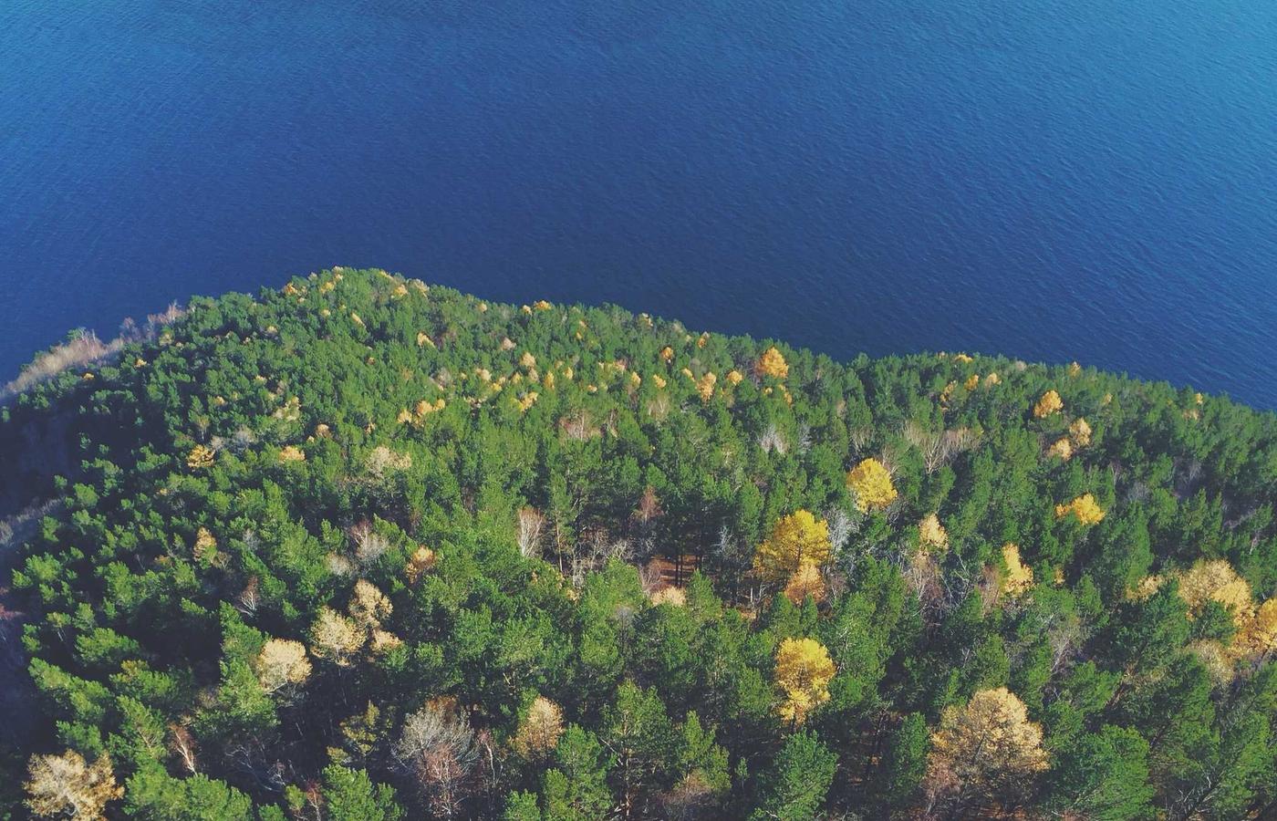 Grafieken op een computerscherm