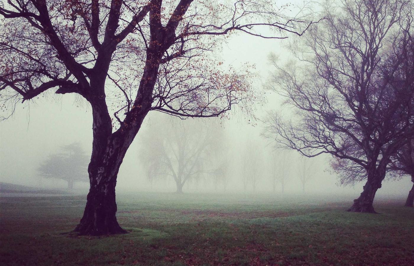 Dashboard van het nzijp.com platform