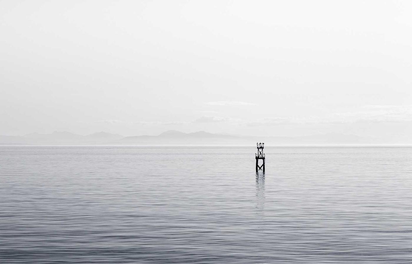 Grafieken en data-analyse op een scherm